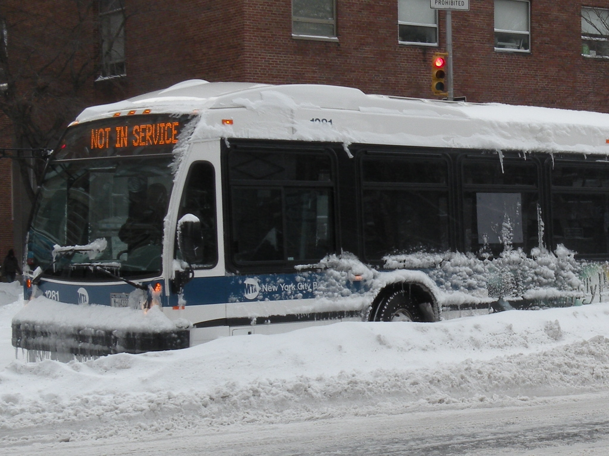 The Snow Bus | Shutterbug